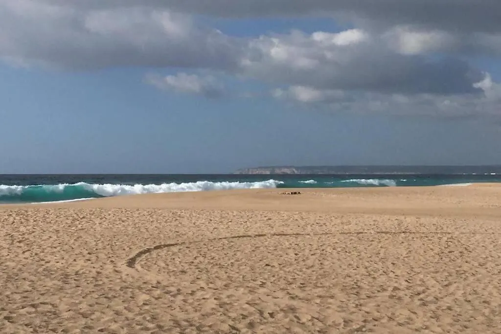 公寓 Apartamento 1ª Linea De Playa En Atlanterra,萨阿拉德洛斯阿图内斯